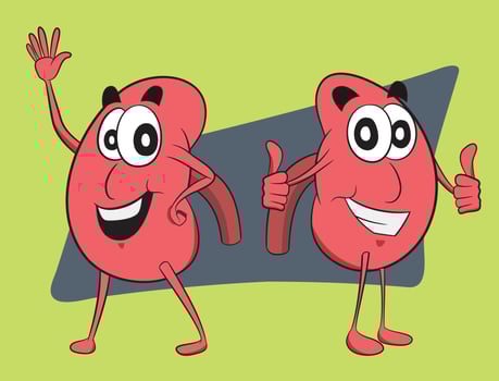 World Kidney Day celebration graphic. Kidney Character doing thumbs up action. Happy Healthy life and healthy organs vector graphic.