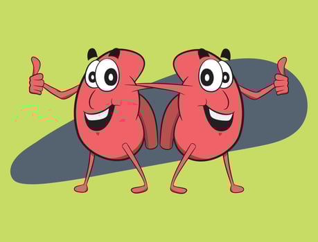 World Kidney Day celebration graphic. Kidney Character doing thumbs up action. Happy Healthy life and healthy organs vector graphic.