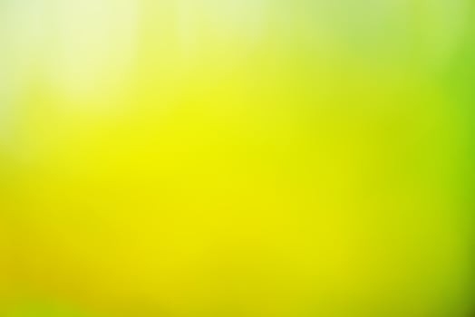 Abstract blur green color for background, blurred defocused effect spring concept for design photo