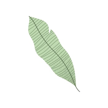 ecology leaf plant vector