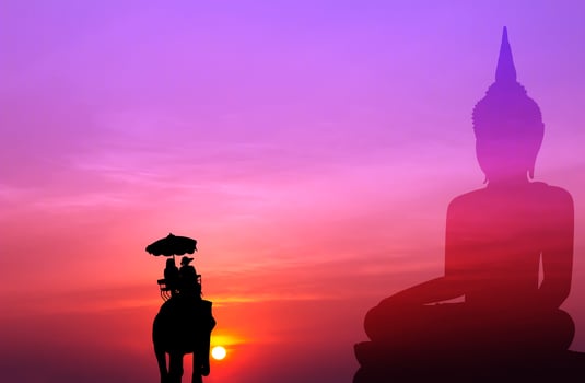 silhouette elephant and tourist with big buddha at sunset photo
