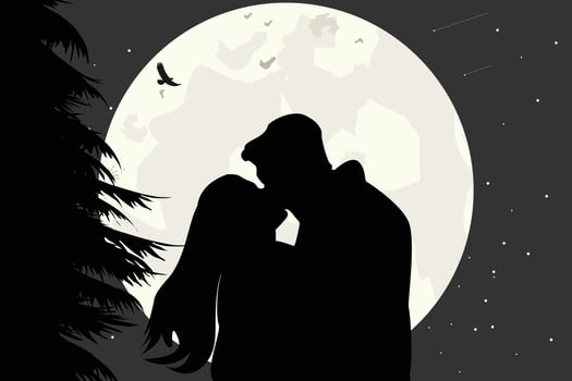 cute couple fall in love silhouette vector