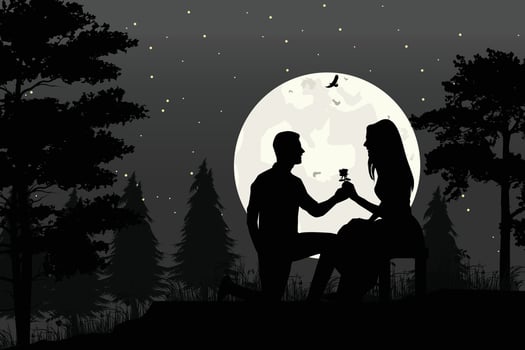 cute couple fall in love silhouette vector
