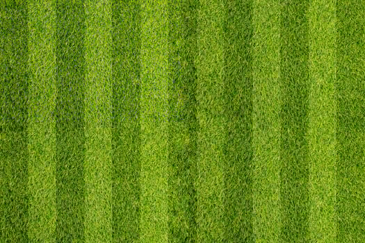 stripe grass soccer field. Green lawn photo