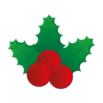 merry christmas berries with leaves vector design