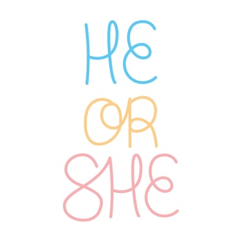 he or she lettering vector