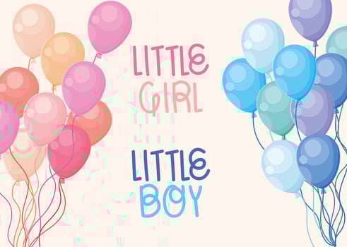 gender reveal cartel vector