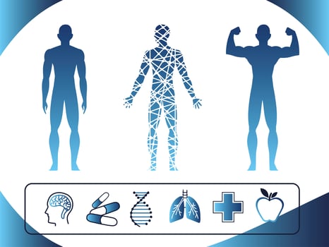 human body healthy icons vector