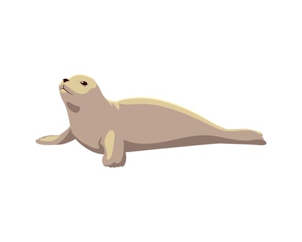 seal north pole animal icon isolated style vector