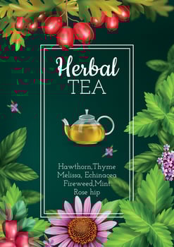 Herbal Tea Poster vector
