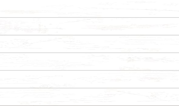 White wood pattern and texture for background. Vector. vector