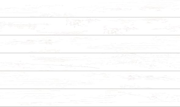 White wood pattern and texture for background. Vector. vector