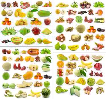 collection of Fruits isolated on white background photo