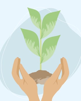 hand lifting nature plant vector