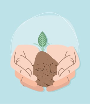 hands planting small plant vector