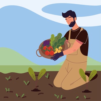 farmer picking a vegetables vector