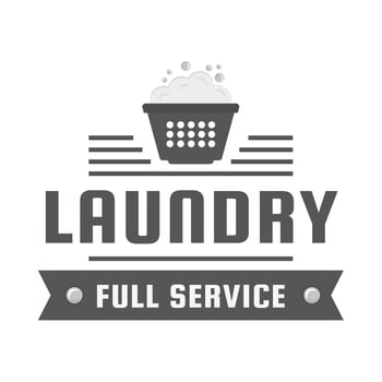 Laundry full service vector