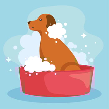 brown dog inside shower vector