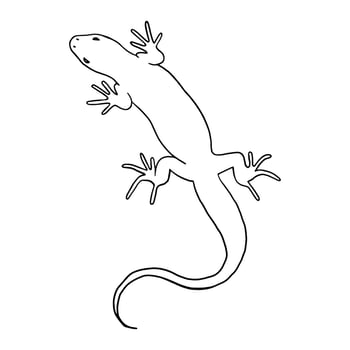 Lizard reptile. Outline silhouette. Design element. Vector illustration isolated on white background. Template for books, stickers, posters, cards, clothes.