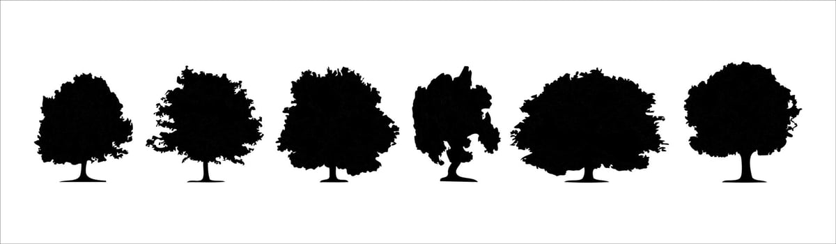 trees silhouettes vector eps 10