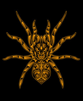Illustration vector spider engraving ornament style