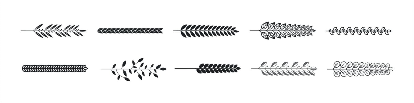 herbs and branches vector