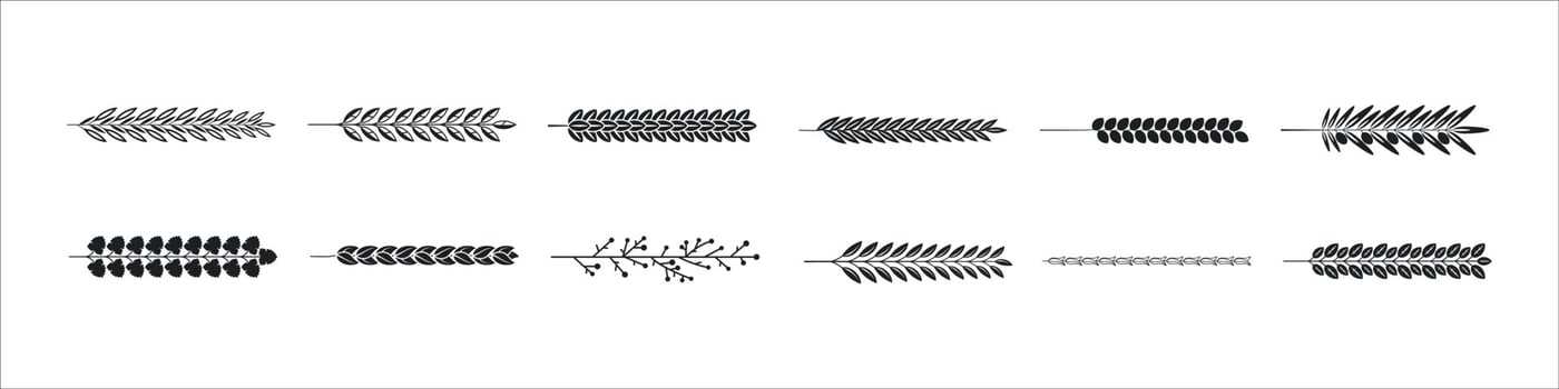 Set of hand drawn vector circular decorative elements for your design. Leaves, swirls, floral elements.