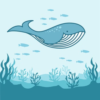 whale vector illustrations