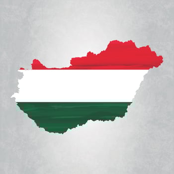 Hungary map with flag vector