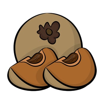 Trendy Sapodilla Concepts vector