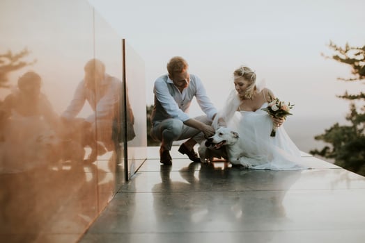 Young newlywed couple with their Jack Russel Terrier dog photo