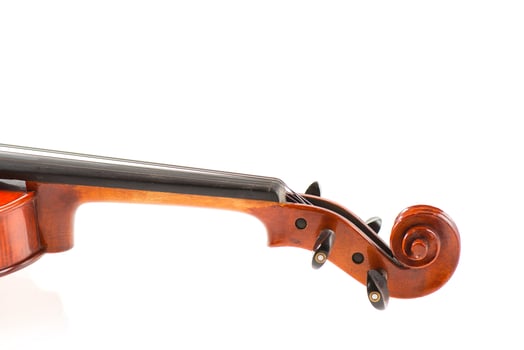 Detail of violin neck photo