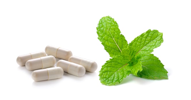 pill and mint isolated on white background photo
