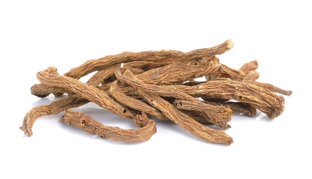angelica sinensis herb on white background photo