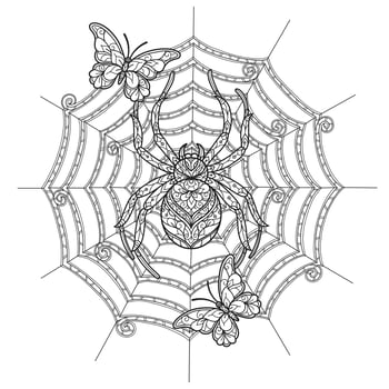 Spider and butterfly hand drawn for adult coloring book vector