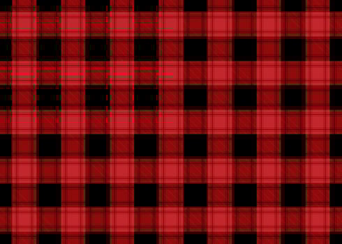 Buffalo Plaid Seamless Pattern vector