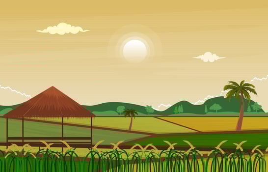 Hut Asian Paddy Rice Field Agriculture Nature View Illustration vector