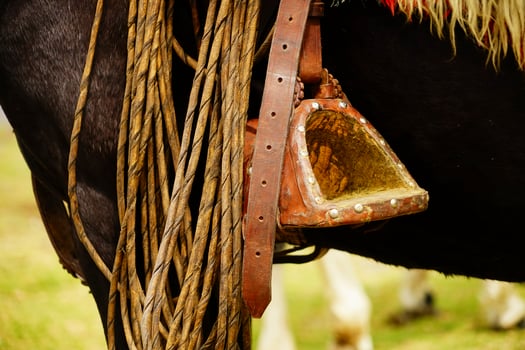 The stirrup of a horse. photo