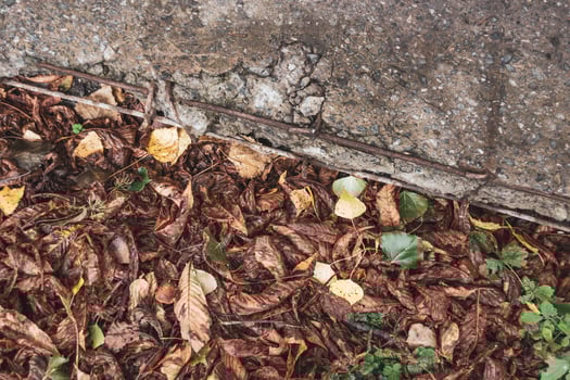 Concrete and fallen dry chestnut leaves. photo