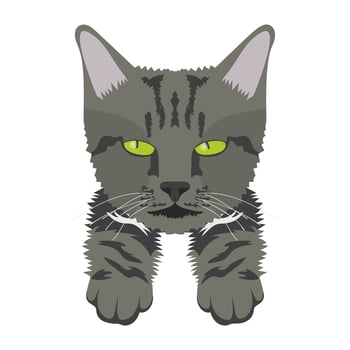 Trendy Wildcat Cocepts vector