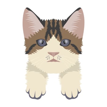 Oscar Cat Concepts vector