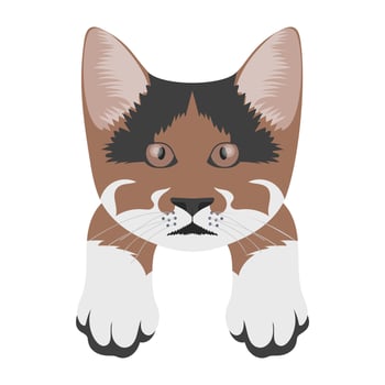 Oscar Cat Concepts vector
