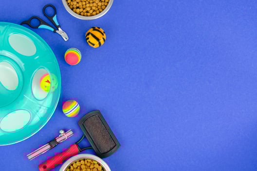 Background of bowls with food, toys and pet care items, top view. Studio Photo