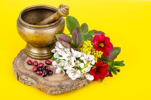 Use of medicinal plants in alternative medicine. Studio Photo