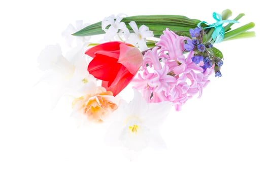 Bouquet of spring garden flowers on white background. photo