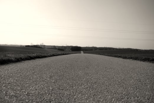 long way gray view photo