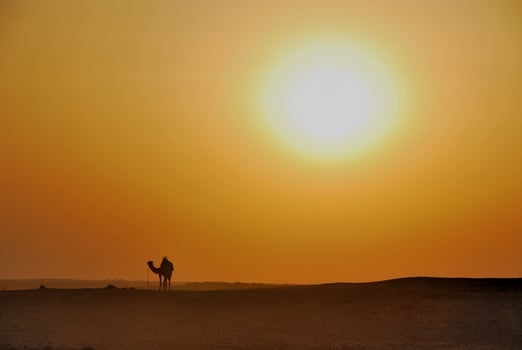 sunset in the desert photo