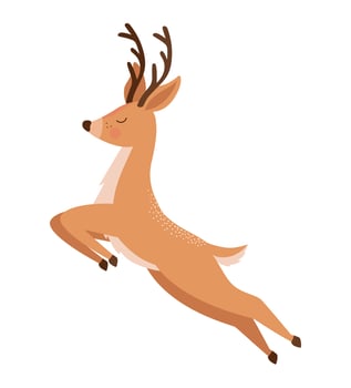pretty brown reindeer vector