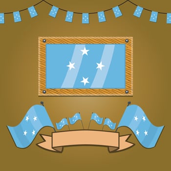 Micronesia Flags On Frame Wood, Label vector