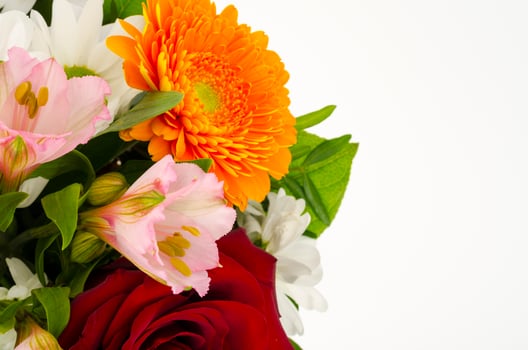 Part of flower bouquet, composition on light background. photo
